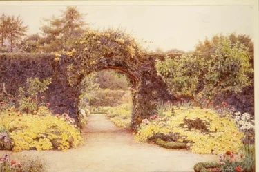 July Gold, Abbey Leix, Eire