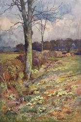 The Widening Vista