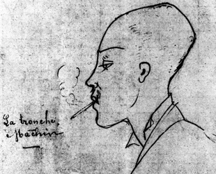 The face has something, portrait of Arthur Rimbaud by Ernest Delahaye of 1875.