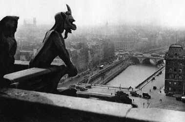 The River Seine seen from a tower of Notre Dame, Paris