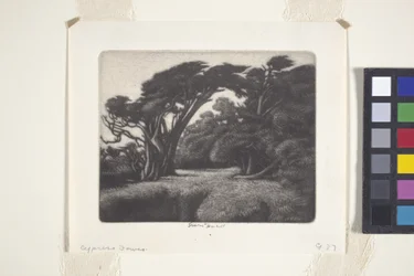 Cypress Bower
