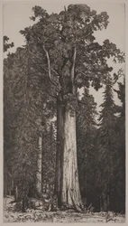 General Sherman