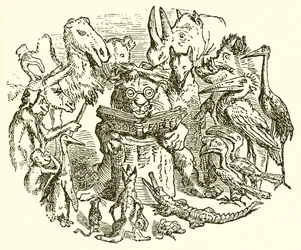 Aesop