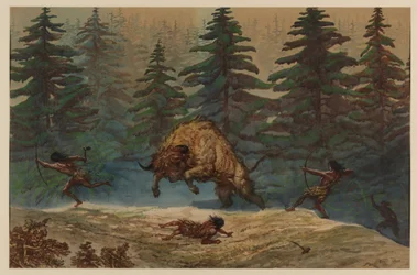 Hunting a Bison