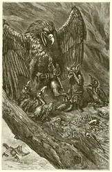 The Eagle and the Fox