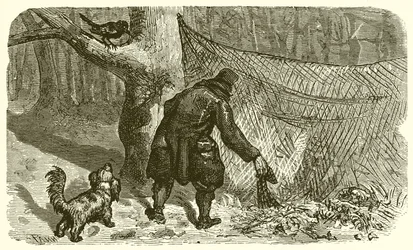 The Fowler and the Blackbird