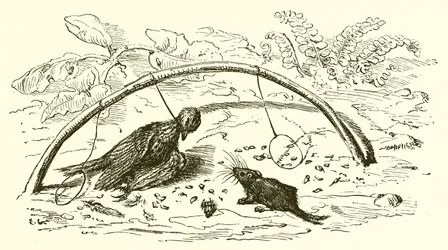 The Fowler and the Lark
