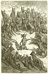 The Fox Without a Tail
