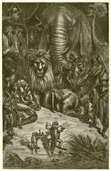 The Frog and the Fox