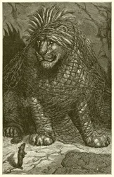 The Lion and the Mouse