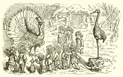 The Peacock and the Crane