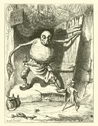 The Spider and the Fly