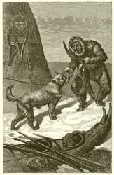 The Thief and the Dog