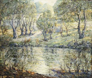 Path to the River