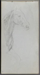 Sketchbook, page 07: Study of a Horse