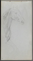 Sketchbook, Page 07: Study of a Horse