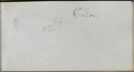Sketchbook, page 20: Animal Study