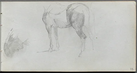 Sketchbook, page 73: Study of a Horse, Profile