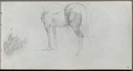 Sketchbook, Page 73: Study of a Horse, Profile