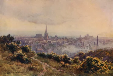 Norwich from Mousehold Heath