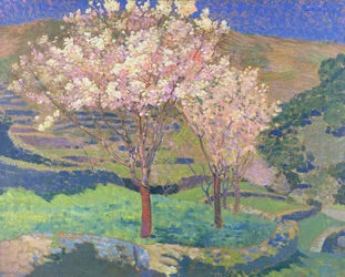 Trees in Blossom with Terraces
