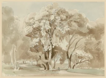 Group of Trees in the Park of the Villa Borghese in Rome