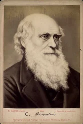 Charles Darwin, British Naturalist, c1860s-c1870s