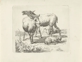 Three Sheep and a Lamb in a Meadow
