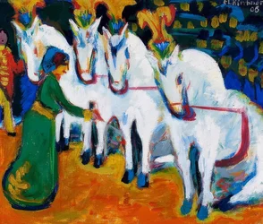 Horse Training Act. 1908-09