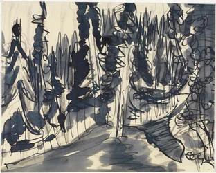 Fir Forest (Mountain Forest Study)