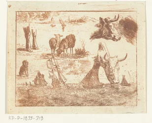 Study Sheet with a Seascape, Two Cow Heads, Sheep, a Dog, and Two Paws