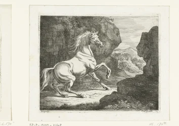 Bouncing White Stallion