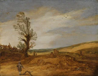 A View in the Dunes