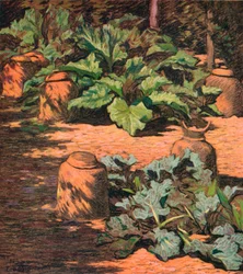 Rhubarb and Seakale, c. 1927