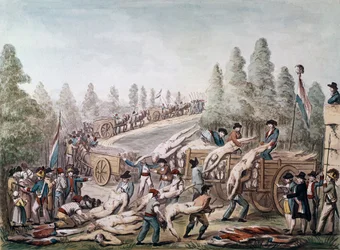 Transporting victims of Terror