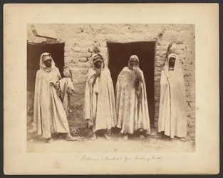 Falcons (Hooded) for Hunting Birds
