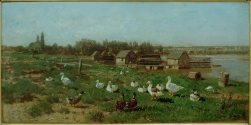 Danube Mills
