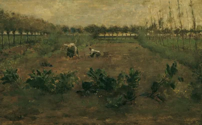 Field Work
