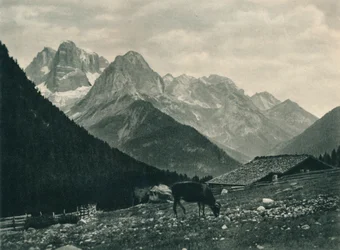 View of the Brenta Group with Alpine Pasture, Madonna di Campiglio, Dolomites, Italy