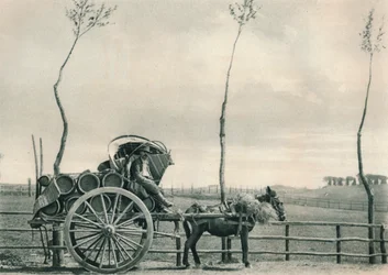 Wine-Carrier in the Campagna, Rome, Italy