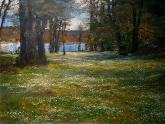 Wood Anemones