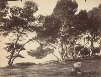 Cannes, Ile Saint Honorat, c. 1899-1927