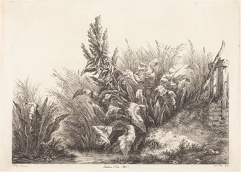 Water Dock, Study
