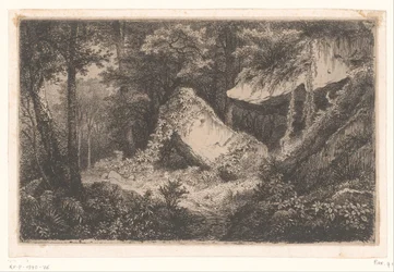 Overgrown Rocks in a Forest