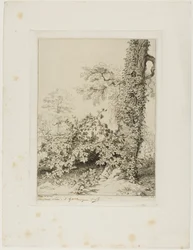 Bramble and Ivy