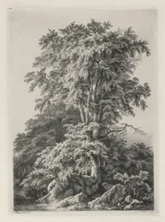 Studies Drawn and Engraved after Nature: The Beach, Fontainbleau
