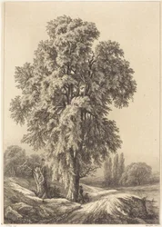 The Elm Tree, 1840