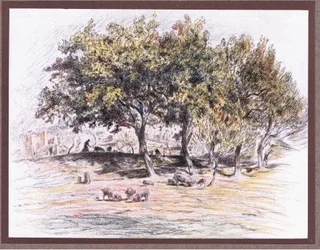 Friar Juniper cuts off the foot of a pig to give it to a sick man