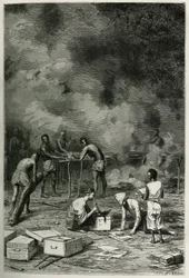 The drying of herbarium plants, on large bamboo clays, before the doctor classifies them and stores them in his crates, engraving by Eugene Burnand, to illustrate the story of Laos and the wild populations of Indochina by Doctor Harmand, in 1877, published