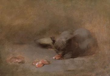 Cat Eating